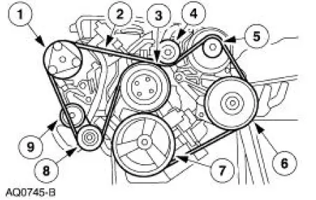 Component Locations- 3.8L