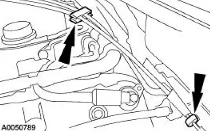 Actuator Cable - Speed Control-Cobra