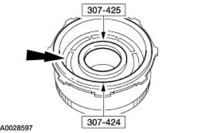 Reverse Clutch Disassembled View