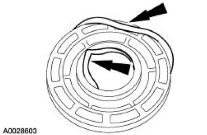 Forward Clutch - Disassembled View