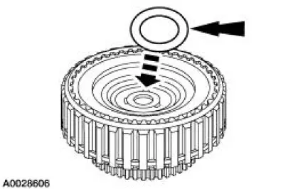 Selective Retaining Ring