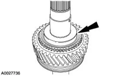 Output Shaft