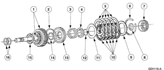 Forward Clutch - Disassembled View