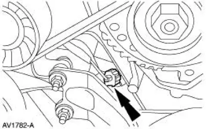 Fuel Charging Wiring Harness