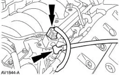 Fuel Injection Supply Manifold and Fuel Injector