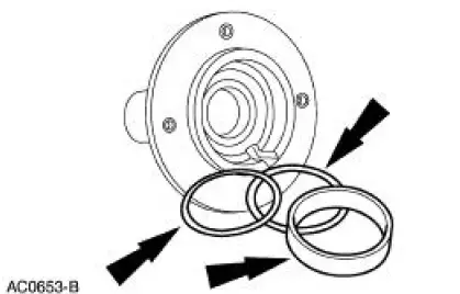 Input Shaft and Bearing