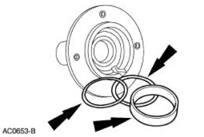 Input Shaft and Bearing