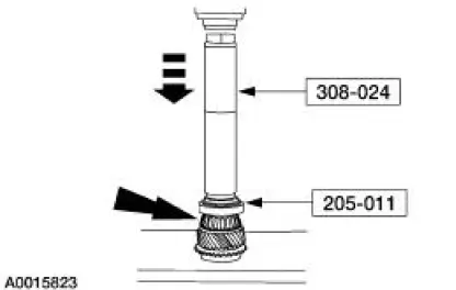 Input Shaft and Bearing