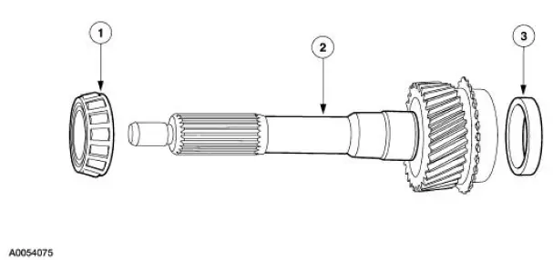 Input Shaft and Bearing