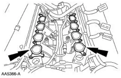 Intake Manifold - Lower