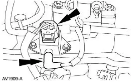 Fuel Injection Supply Manifold