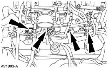 Fuel Injection Supply Manifold