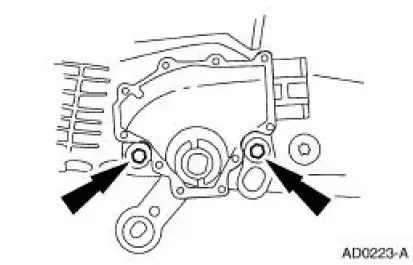 Manual Control Lever Shaft and Seal