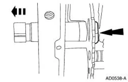 Manual Control Lever Shaft and Seal