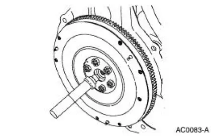 Pilot Bearing