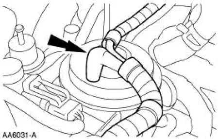 Lower Intake Manifold