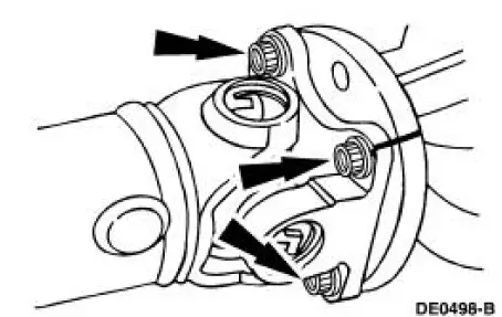 Drive Pinion Flange and Drive Pinion Seal