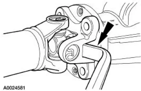 Drive Pinion Flange and Drive Pinion Seal