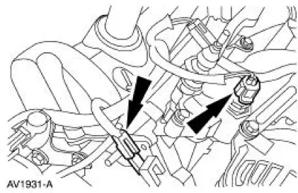 Fuel Charging Wiring Harness