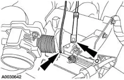 Throttle Body