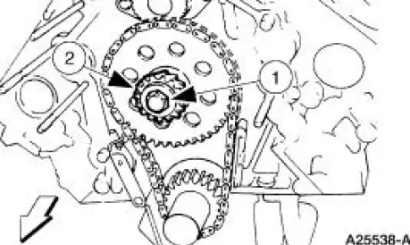 Timing Chain