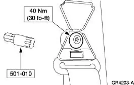 Trim Panel - Package Tray