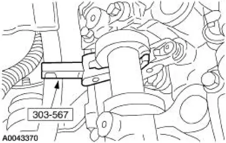 Valve Seals