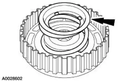 Forward Clutch - Disassembled View