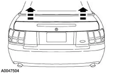 Rear Spoiler