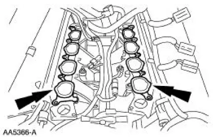 Intake Manifold - Lower
